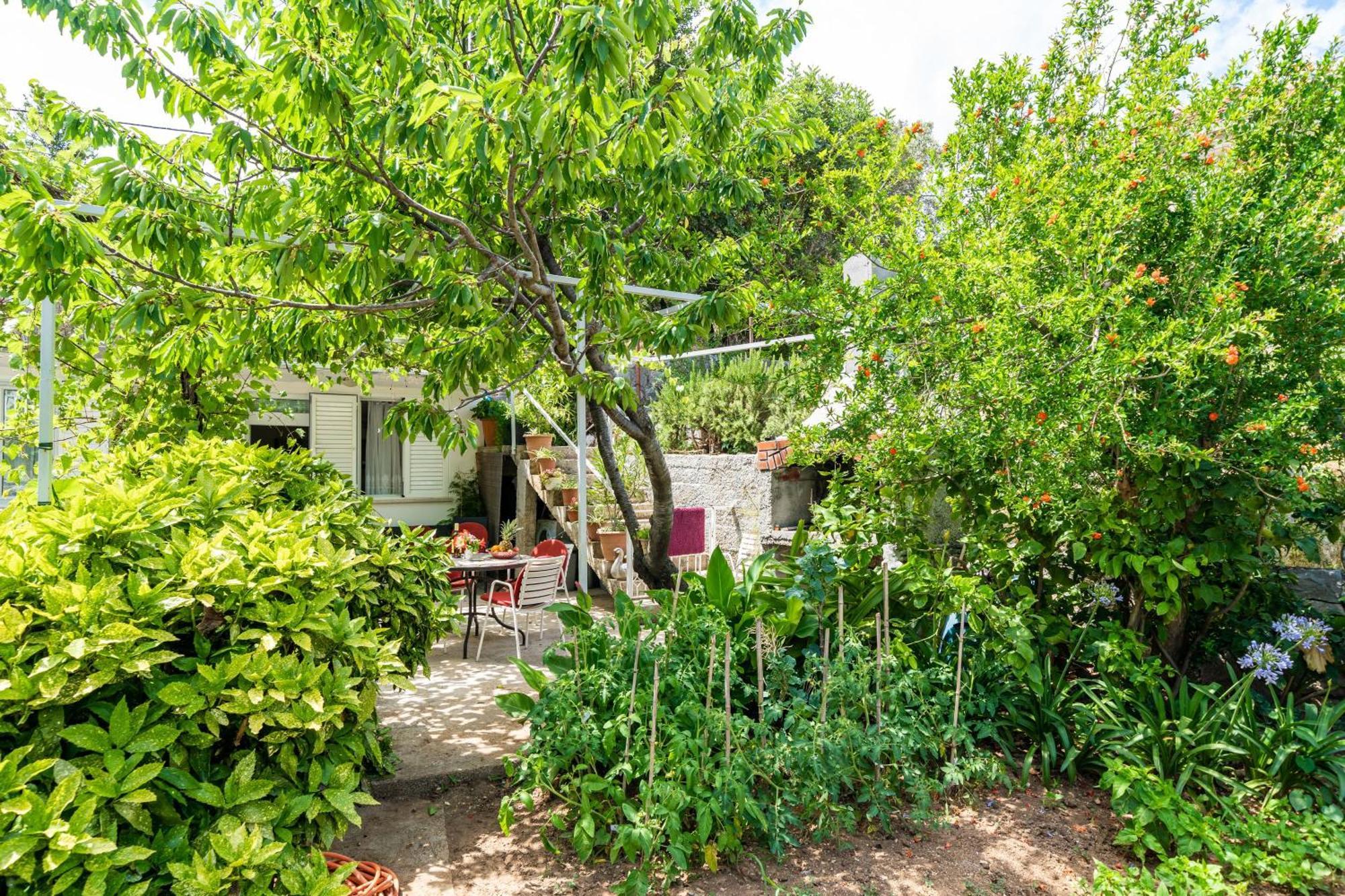 Apartments Zarac Dubrovnik Phòng bức ảnh